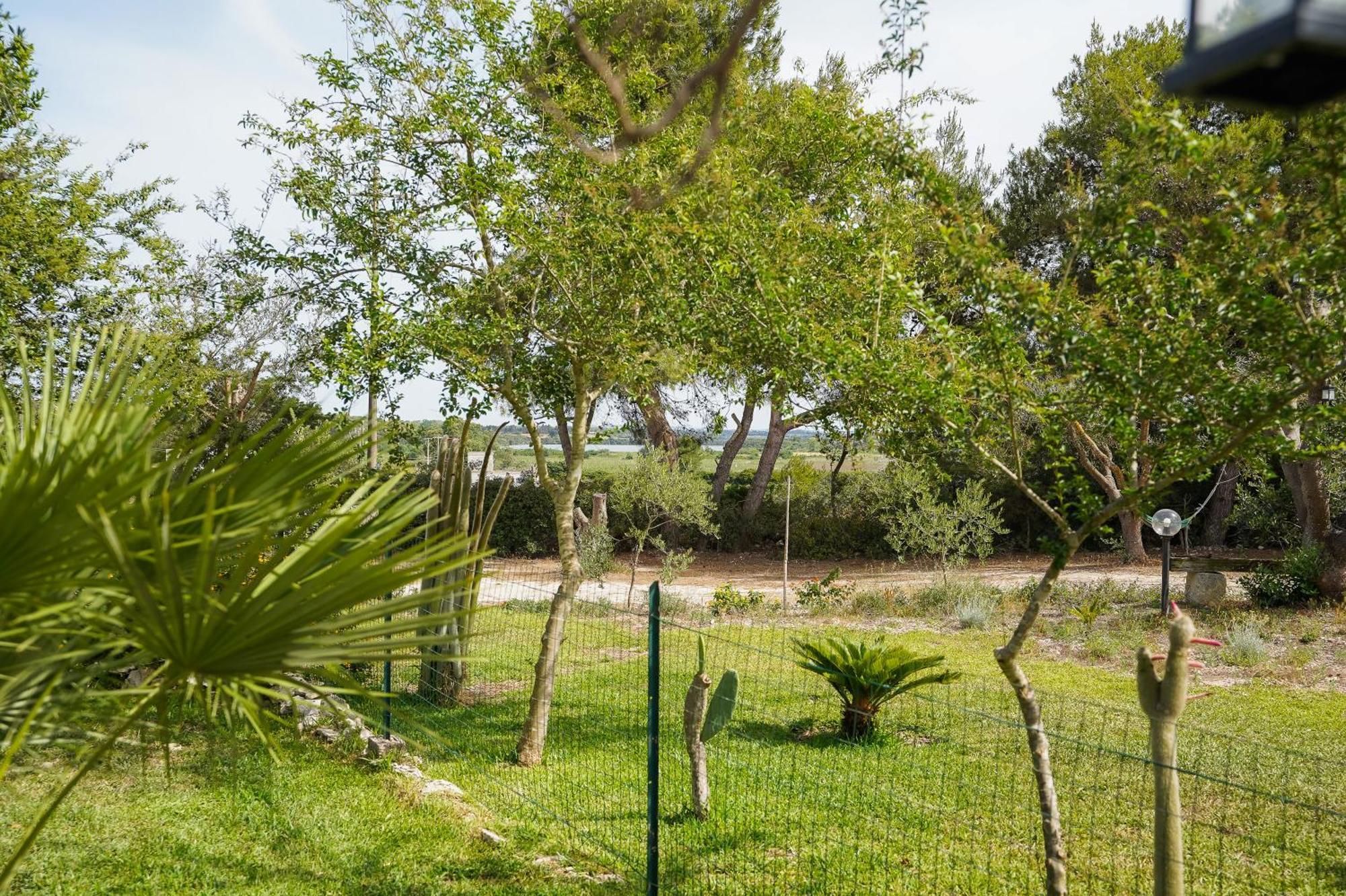 Casa Vacanza Russo Fernando Alimini Ngoại thất bức ảnh